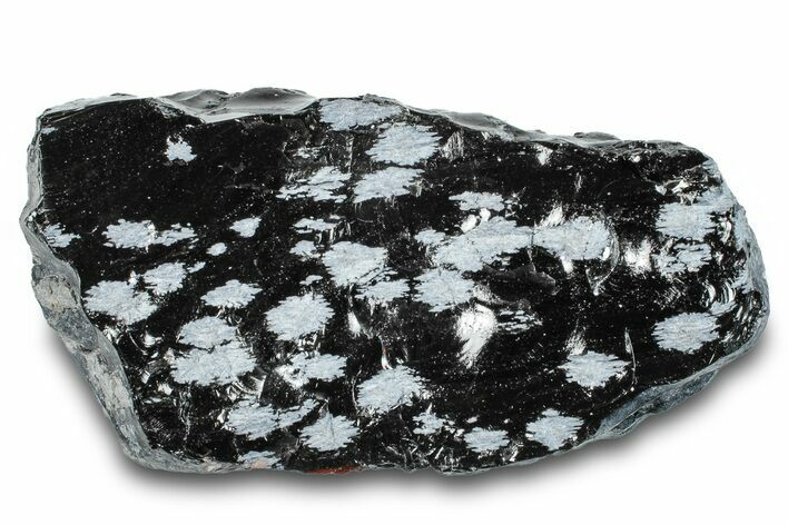 Snowflake Obsidian Section - Utah #279864